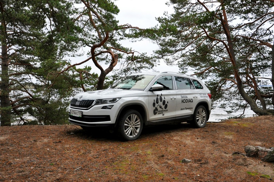 Тест-драйв Skoda Kodiaq