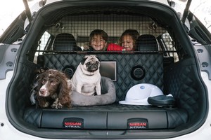 Nissan создал концепт-кар для владельцев собак (Видео)