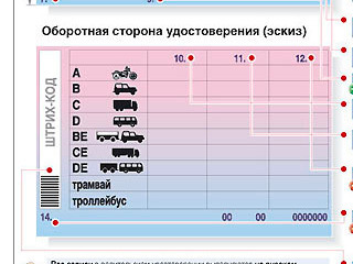 В России начали официально выдавать новые права