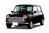 Rover Mini
